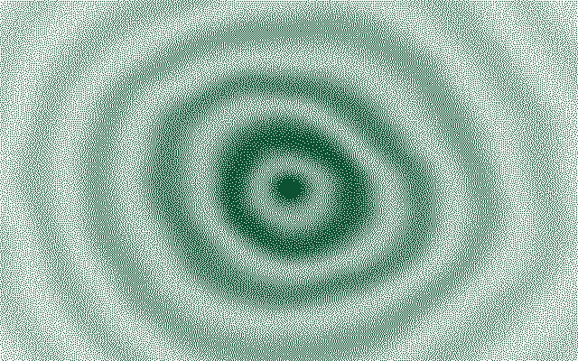 The same shells, inverted to paper on pine